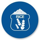 wholesale organic rice