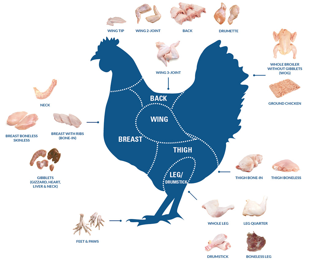 wholesale chicken distributor - chicken parts