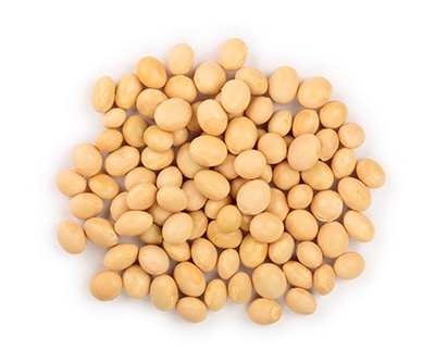 Soybeans - grain products
