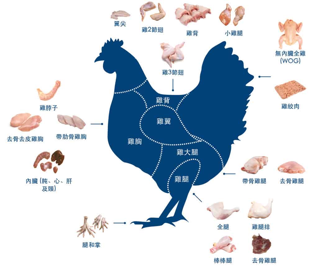 wholesale chicken products