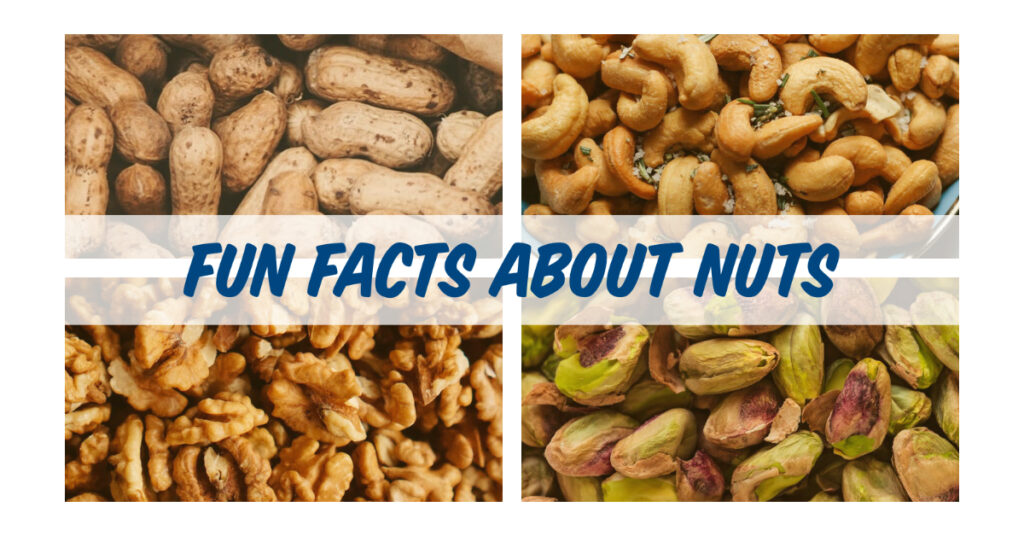 Interra International Global Trader of Wholesale and Bulk Nuts