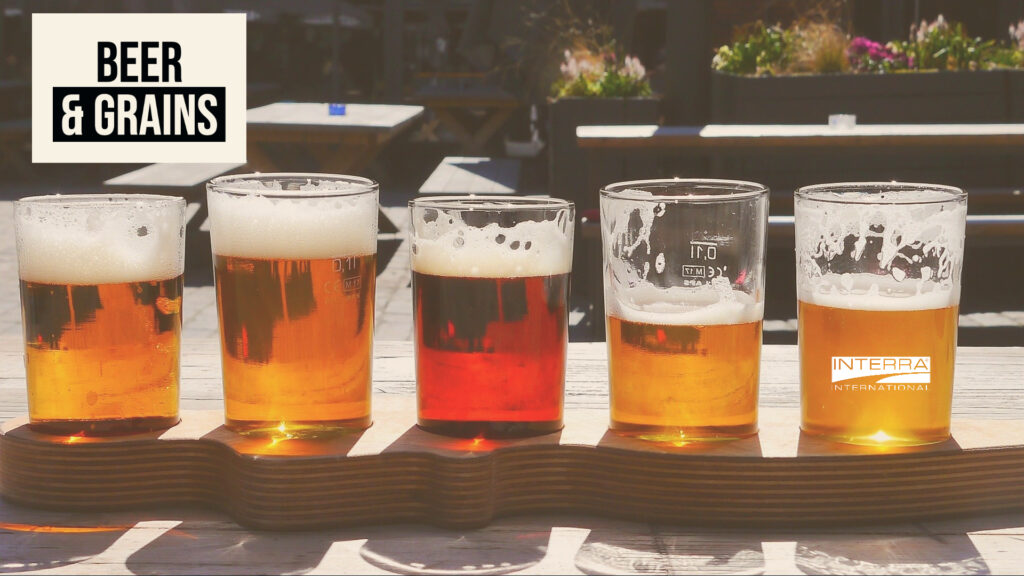 Interra International Beer and Grains Craft Brewing with Variety