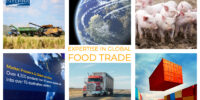 Interra International | Global Food Trade