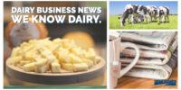 Interra International | Dairy Products and News