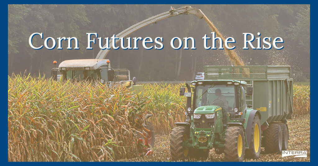 Corn Futures on the Rise Interra International